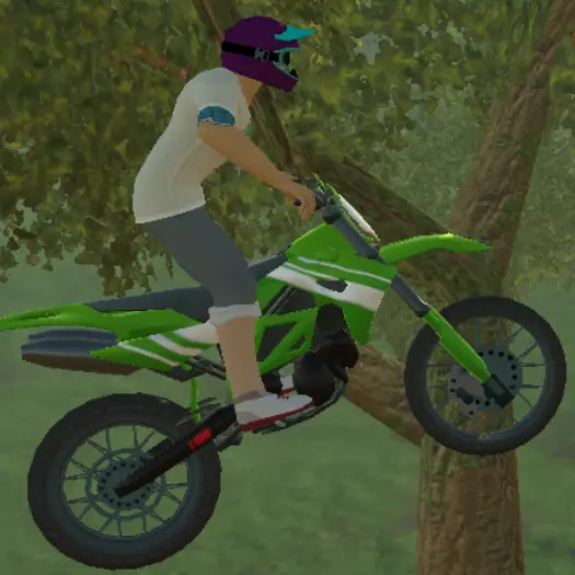 Enduro Cross Motorsport